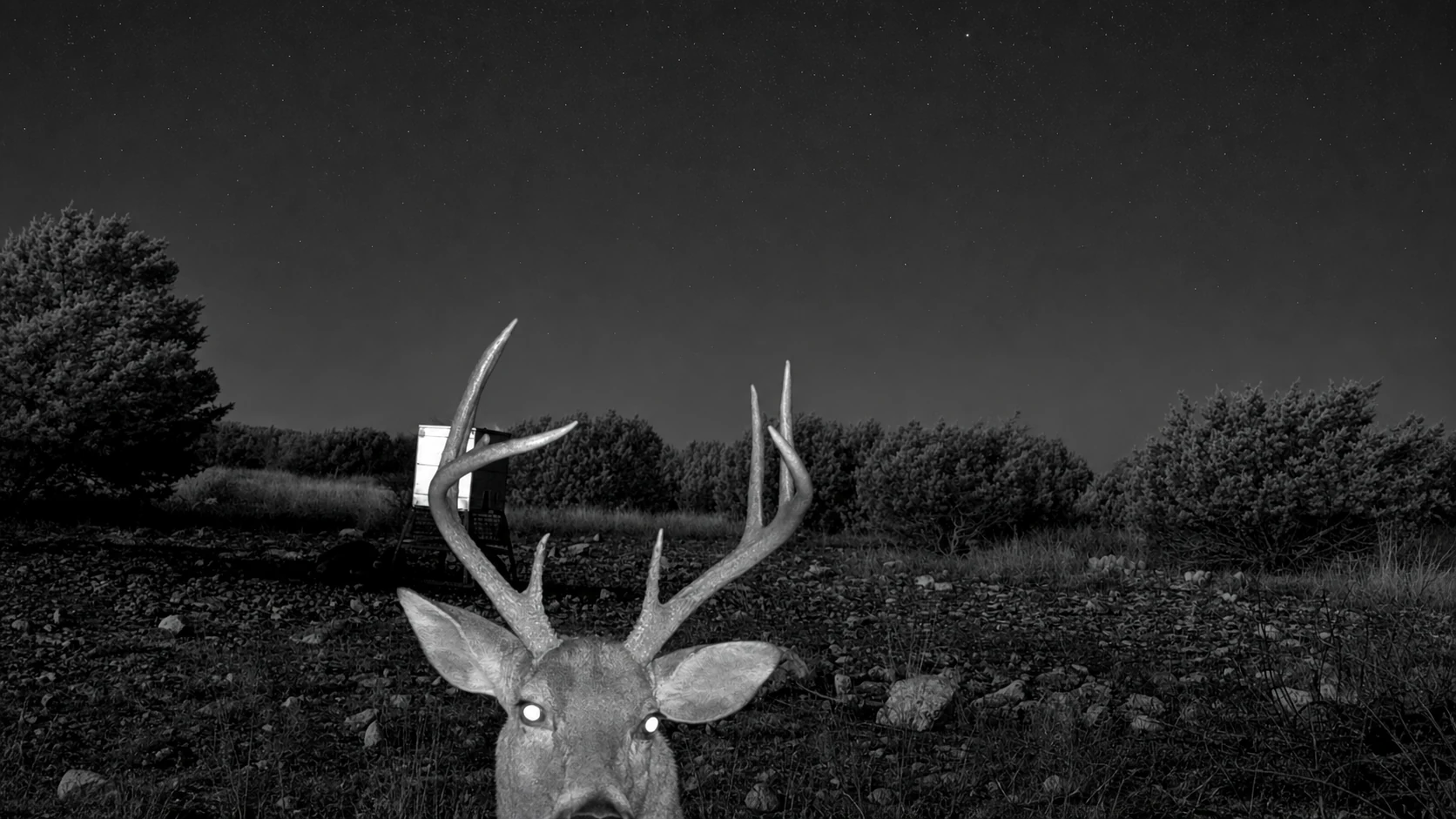 Angry J Ranch